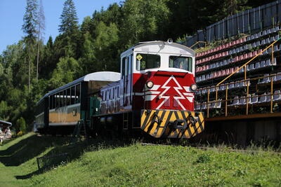 LH5 7295